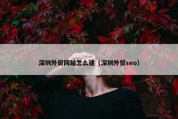 深圳外贸网站怎么建（深圳外贸seo）