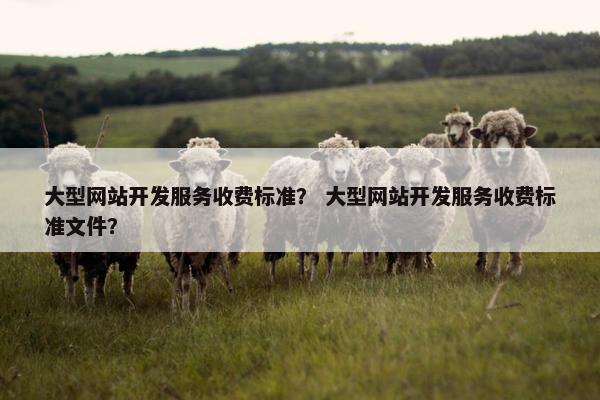 大型网站开发服务收费标准？ 大型网站开发服务收费标准文件？