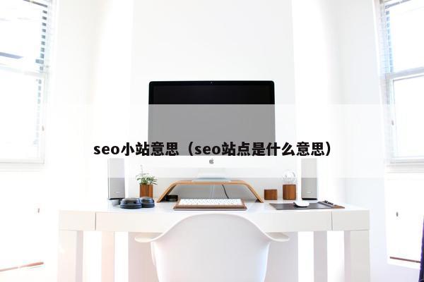 seo小站意思（seo站点是什么意思）