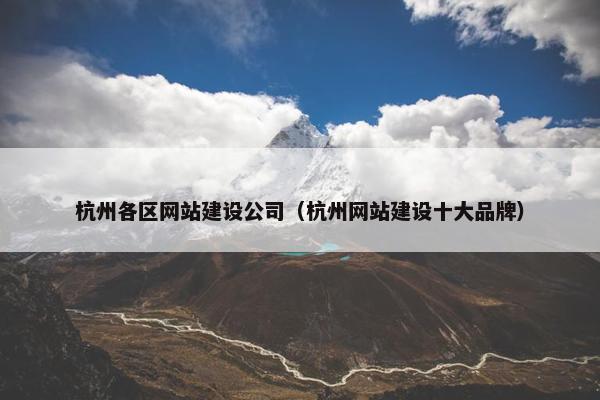 杭州各区网站建设公司（杭州网站建设十大品牌）