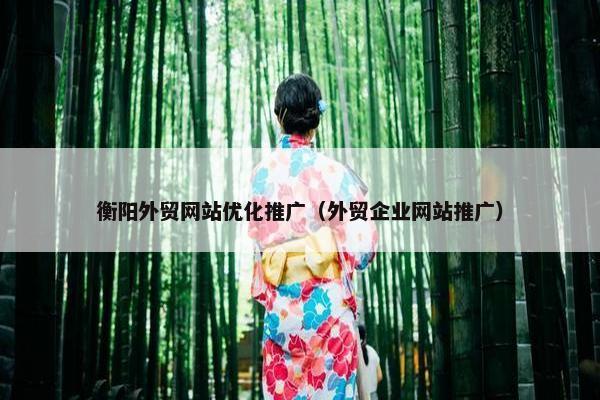 衡阳外贸网站优化推广（外贸企业网站推广）