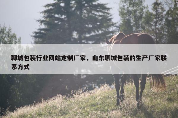 聊城包装行业网站定制厂家，山东聊城包装的生产厂家联系方式
