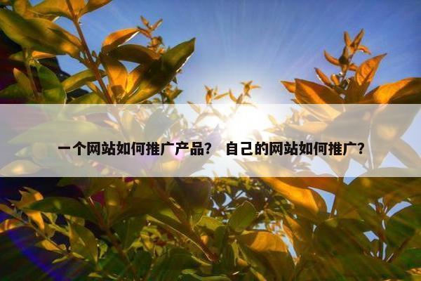 一个网站如何推广产品？ 自己的网站如何推广？