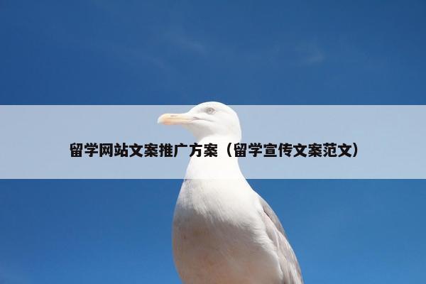 留学网站文案推广方案（留学宣传文案范文）
