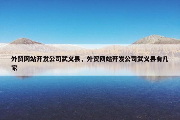 外贸网站开发公司武义县，外贸网站开发公司武义县有几家