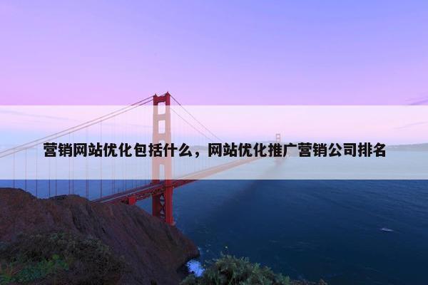 营销网站优化包括什么，网站优化推广营销公司排名