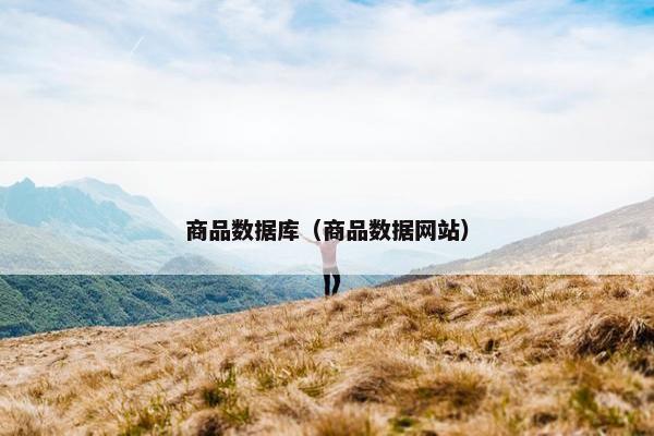 商品数据库（商品数据网站）