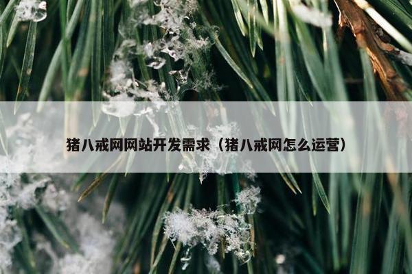 猪八戒网网站开发需求（猪八戒网怎么运营）