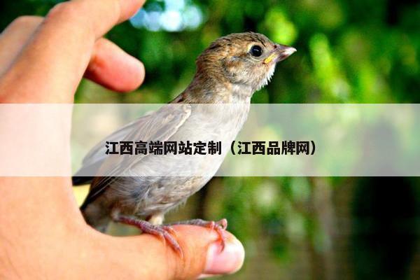 江西高端网站定制（江西品牌网）