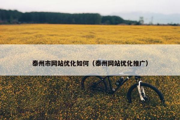 泰州市网站优化如何（泰州网站优化推广）