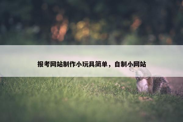 报考网站制作小玩具简单，自制小网站