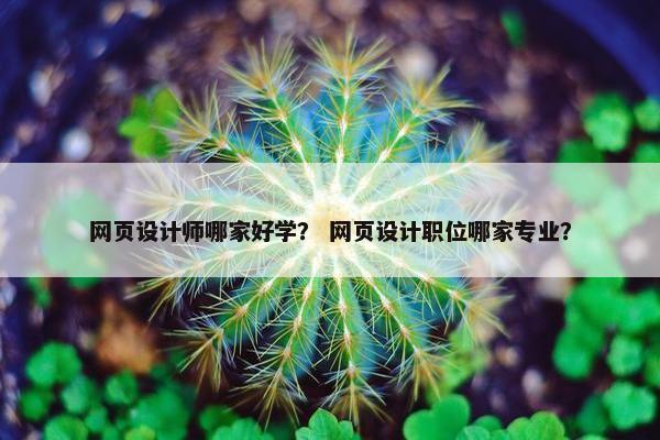 网页设计师哪家好学？ 网页设计职位哪家专业？