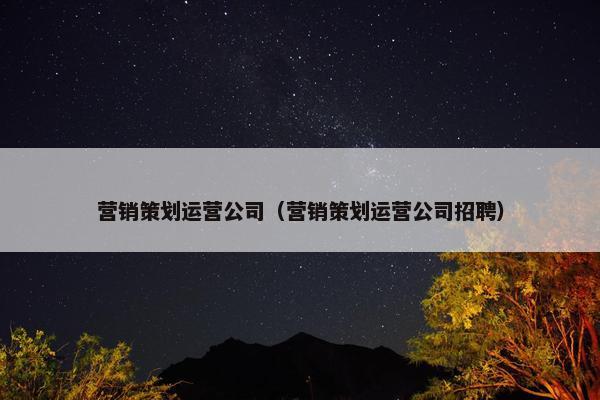 营销策划运营公司（营销策划运营公司招聘）