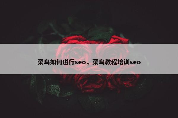 菜鸟如何进行seo，菜鸟教程培训seo