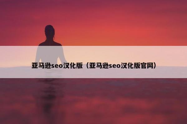 亚马逊seo汉化版（亚马逊seo汉化版官网）