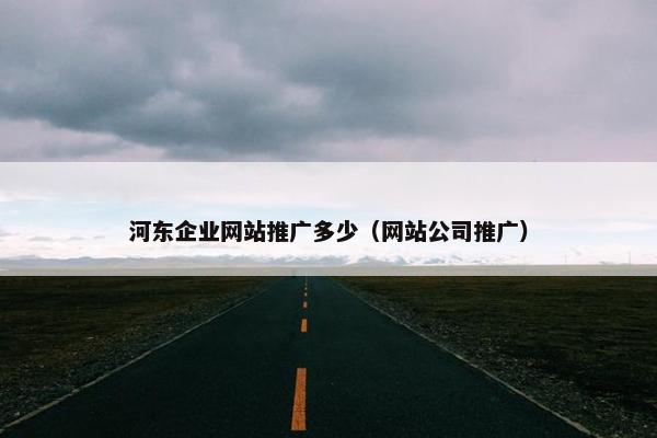 河东企业网站推广多少（网站公司推广）