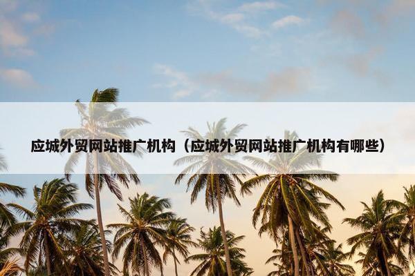 应城外贸网站推广机构（应城外贸网站推广机构有哪些）