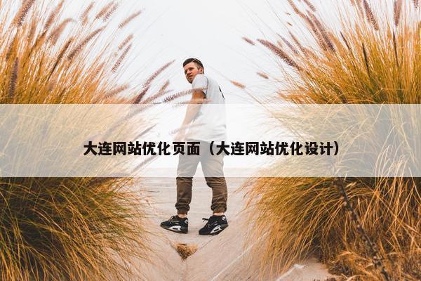 大连网站优化页面（大连网站优化设计）