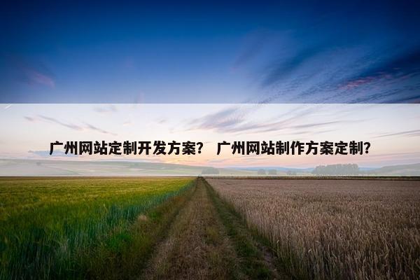 广州网站定制开发方案？ 广州网站制作方案定制？