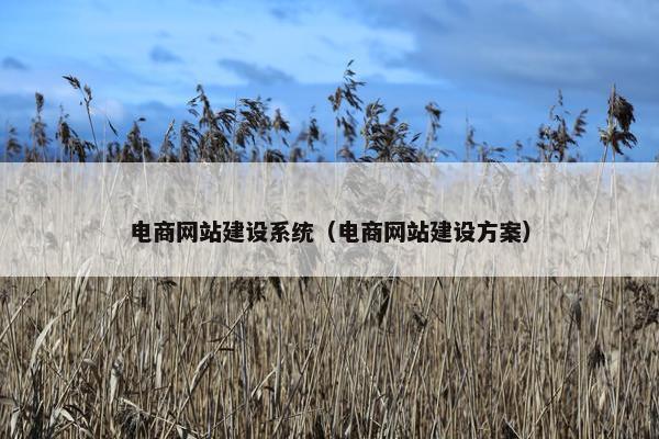 电商网站建设系统（电商网站建设方案）