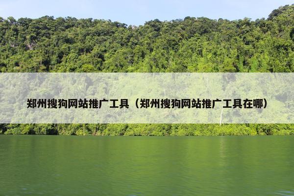 郑州搜狗网站推广工具（郑州搜狗网站推广工具在哪）