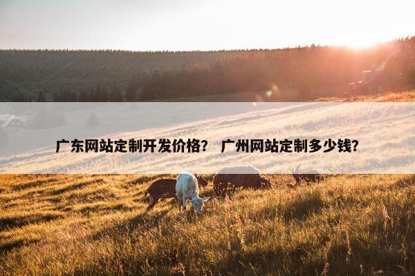 广东网站定制开发价格？ 广州网站定制多少钱？
