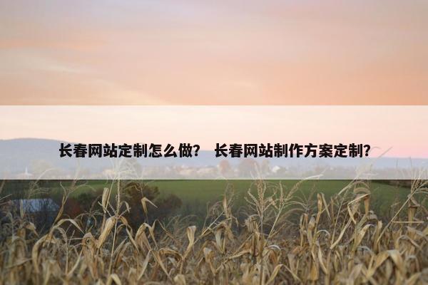 长春网站定制怎么做？ 长春网站制作方案定制？
