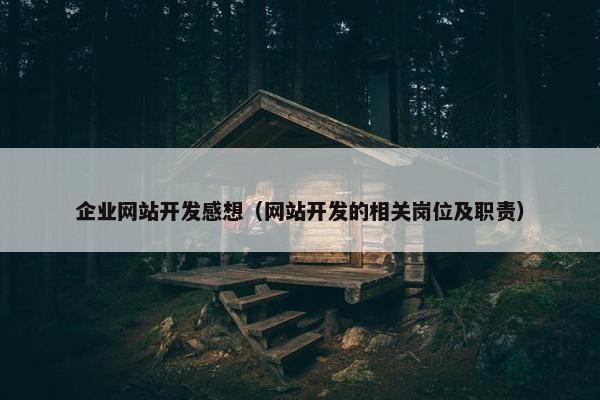 企业网站开发感想（网站开发的相关岗位及职责）