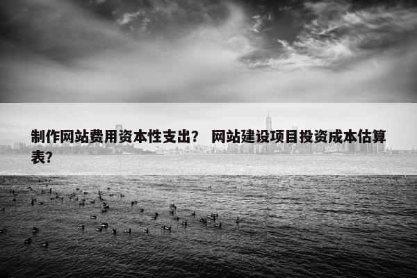 制作网站费用资本性支出？ 网站建设项目投资成本估算表？