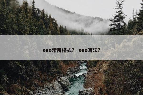 seo常用格式？ seo写法？