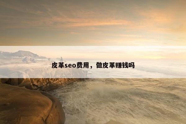 皮革seo费用，做皮革赚钱吗