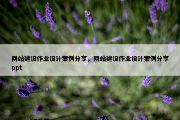 网站建设作业设计案例分享，网站建设作业设计案例分享ppt