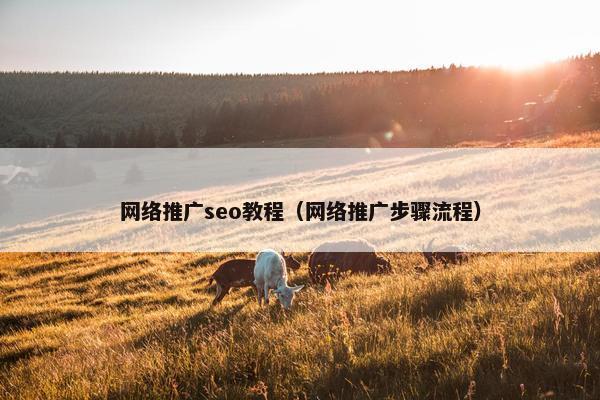 网络推广seo教程（网络推广步骤流程）