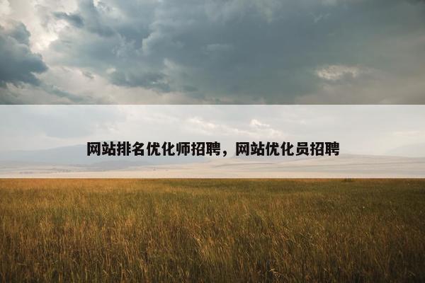 网站排名优化师招聘，网站优化员招聘
