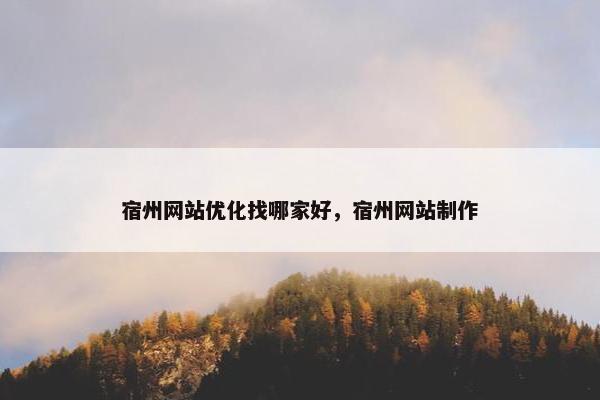 宿州网站优化找哪家好，宿州网站制作