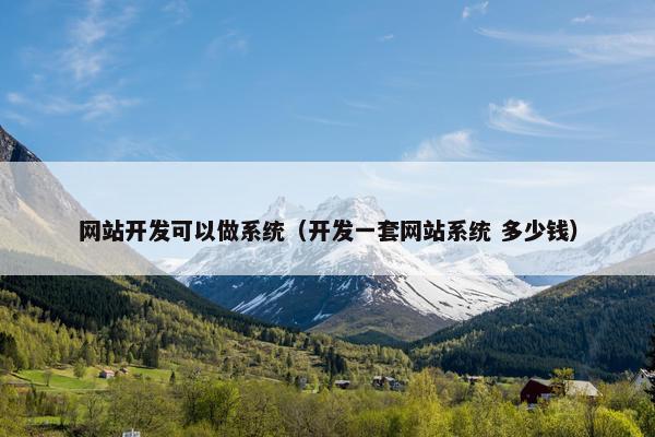 网站开发可以做系统（开发一套网站系统 多少钱）