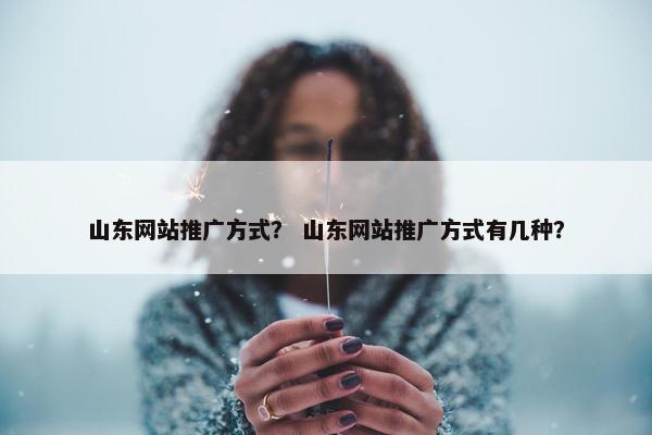 山东网站推广方式？ 山东网站推广方式有几种？