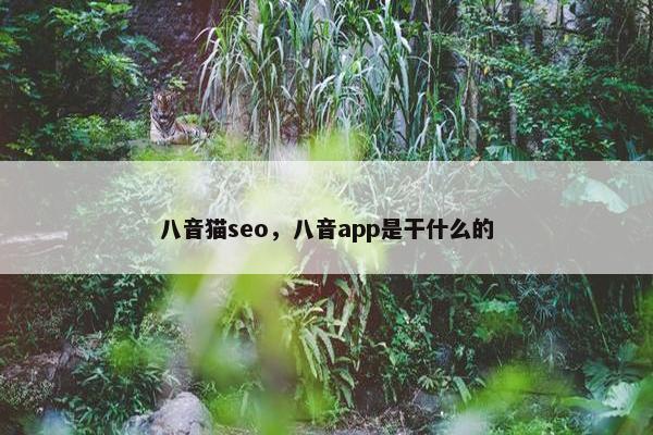 八音猫seo，八音app是干什么的