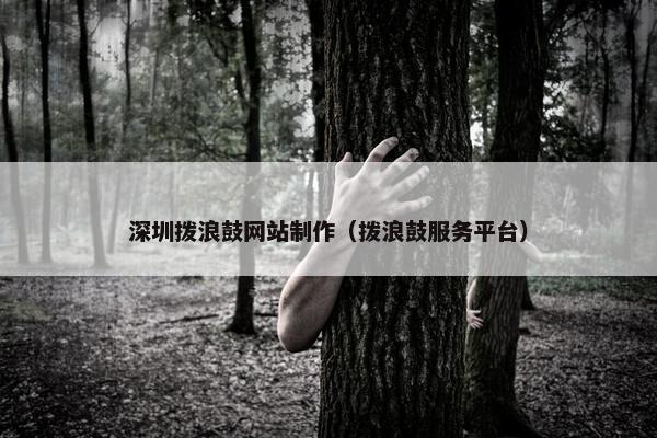 深圳拨浪鼓网站制作（拨浪鼓服务平台）
