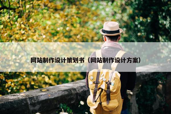 网站制作设计策划书（网站制作设计方案）