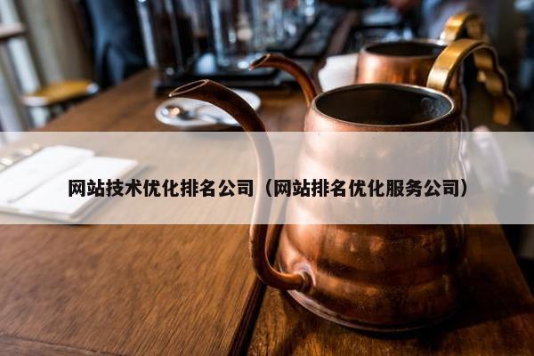 网站技术优化排名公司（网站排名优化服务公司）