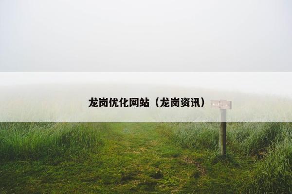 龙岗优化网站（龙岗资讯）