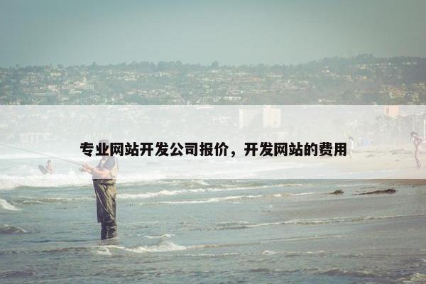 专业网站开发公司报价，开发网站的费用