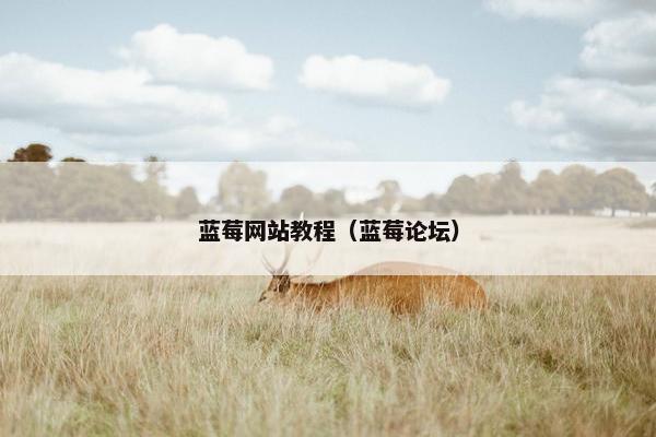 蓝莓网站教程（蓝莓论坛）