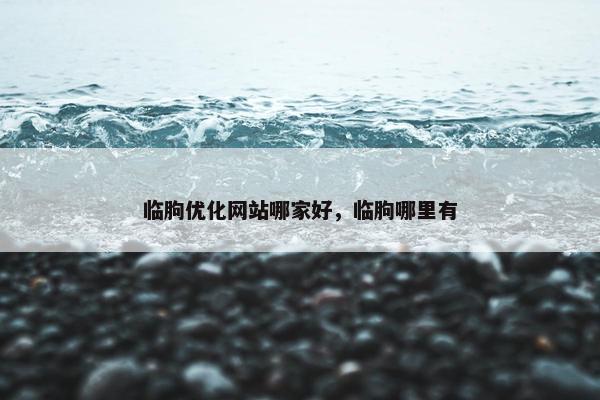 临朐优化网站哪家好，临朐哪里有