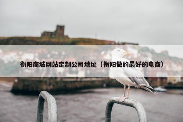 衡阳商城网站定制公司地址（衡阳做的最好的电商）
