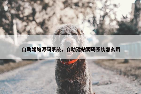 自助建站源码系统，自助建站源码系统怎么用