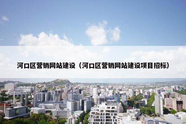 河口区营销网站建设（河口区营销网站建设项目招标）