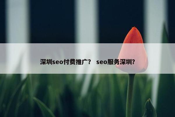 深圳seo付费推广？ seo服务深圳？