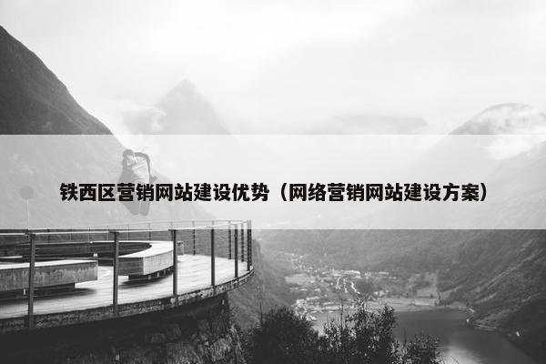铁西区营销网站建设优势（网络营销网站建设方案）